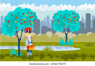 Female farmer picking apples. Young woman with basket gathering harvest faraway from city. Flat vector illustration. Farming, gardening, farmer life, autumn concept