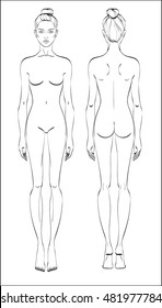 Female Figure: Front And Back. Vector. Human Body In Linear Style.

