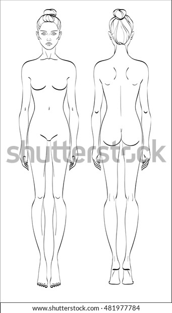 女性身影 正面和背面 矢量 人体线性风格 库存矢量图 免版税
