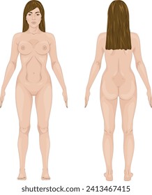 Female figure front and back view anatomy