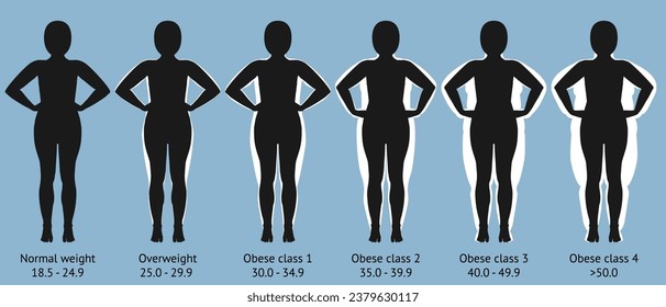 Frauen mit normalem Gewicht, Übergewicht und Fettleibigkeit. Vektorgrafik