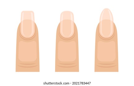 Female Finger with Nail Form and Shapes Vector Set