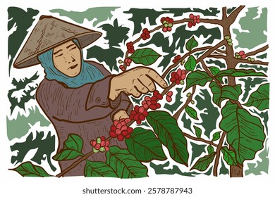 a female garden worker is harvesting ripe coffee beans, vector, poster design, image, illustration