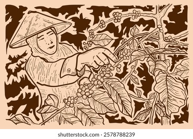 a female garden worker is harvesting ripe coffee beans, vector, poster design, image, illustration