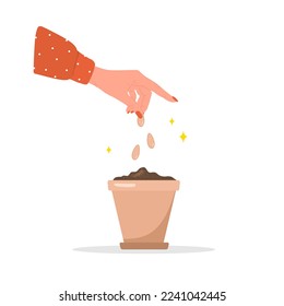 Female gardener hands plants spring seedlings in pot. Vector illustration in flat cartoon style. Organic greens concept. Gardening hobby. Horticulture concept.