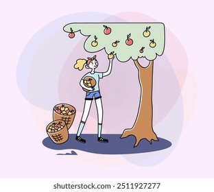 Female gardener picking apples. Gathering harvest, tree, fruit flat vector illustration. Autumn, fall, orchard concept for banner, website design or landing page