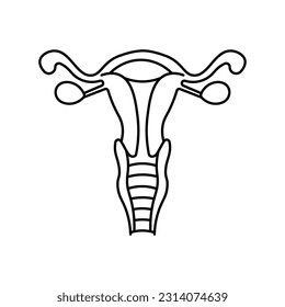 Female genitalia, anatomy flat line icon. Human female genitalia