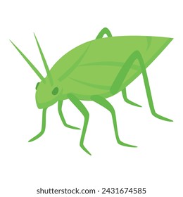 Female green grasshopper icon isometric vector. Insect bug. Creature fauna