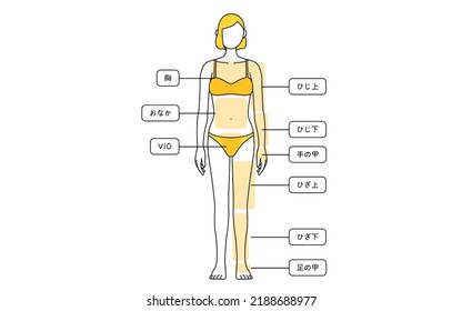 Female Hair Removal Illustration Full Length from Front - Translation: chest, tummy, elbow, elbow, back of the hand, back of the hand, back of the knee, knee, back of the foot above the knee, below th