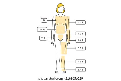 Female Hair Removal Illustration Full Length from Front - Translation: chest, tummy, elbow, elbow, back of the hand, back of the hand, back of the knee, knee, back of the foot above the knee, below th