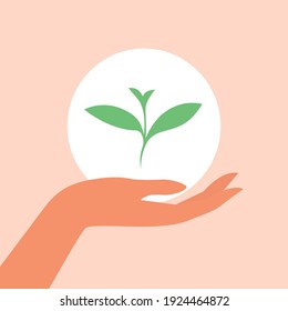 The female hand carefully holds the green sprout of the plant. The concept of caring for the environment. Vector flat illustration.