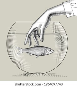 Female hand catchng fish in a round glass aquarium. Vector illustration