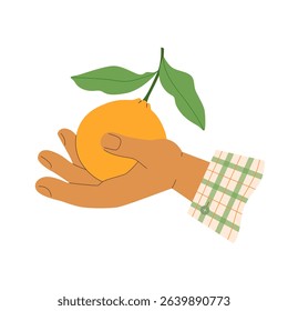 Female hand with cuff of shirt in cage holds ripe fresh orange with leaves in palm of his hand. Cute vector illustration of label design for jam, farm harvest, gardening.