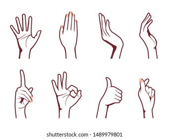 Female hand gesture (hand sign) vector illustration set / ok sign, thumb up , finger heart etc. 