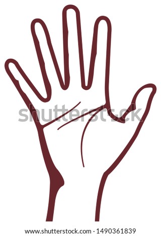 Female hand gesture (hand sign) vector illustration / open hand 