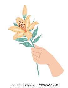 Female hand holding blooming lily branch. Simple woman hand with big orange flower head and green leaves on high stem isolated on white background.  Botanical floral element vector flat illustration. 