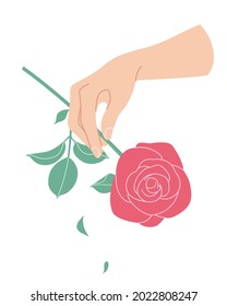 Female hand holding branch of blooming rose. Simple woman hand with red flower isolated on white background.  Romantic floral design element. Vector flat illustration.