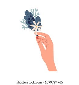 Female hand holding elegant small boutonniere of delicate wild flowers isolated on white background. Beautiful summer bunch of camomile and leaves. Colorful flat vector illustration