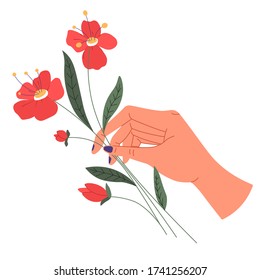 Female hand holding flower in blossom, stem of plant with flourishing and foliage. Gift for holiday or special occasion, celebration of valentines or womens day in spring, vector in flat style