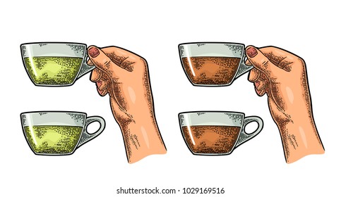 Female hand holding a glass cup of black and green tea. Vintage color vector engraving illustration for label, web, flayer. Isolated on white background