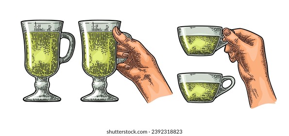 Female hand holding a glass cup of green tea. Vintage color vector engraving illustration for label, web, poster. Isolated on white background