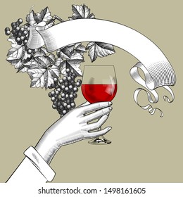 Female hand holding a glass with red wine and ribbon banner with bunch of grapes with leaves. Vintage black and white engraving stylized drawing. Vector 
illustration
