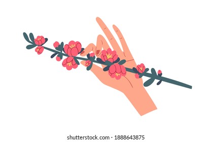 Female hand holding green quince branch with gorgeous blooming pink flowers isolated on white background. Beautiful spring floral plant. Colorful flat vector illustration