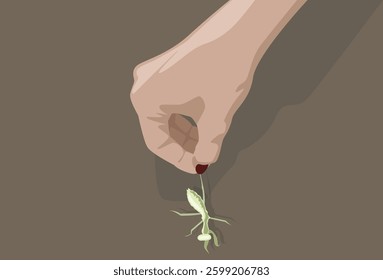 Female hand holding for the leg praying mantis bug