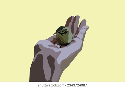 Female hand holding small green bird isolated on yellow background