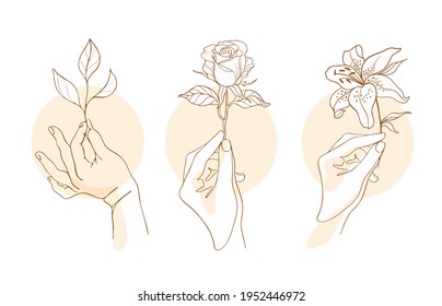 Female hand holding sprout line drawing in minimalistic trendy style, sign or logo of care, growth, prosperity, gratitude, environmentally friendly product