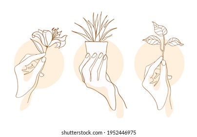 Female hand holding sprout line drawing in minimalistic trendy style, sign or logo of care, growth, prosperity, gratitude, environmentally friendly product