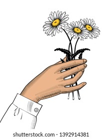 Female hand holding white chamomile flower. Retro style valentine greeting card design. Vintage color engraving stylized drawing. Vector illustration