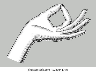 Female hand palm down with pinch fingers. Retro design element. Vintage engraving stylized drawing. Vector illustration