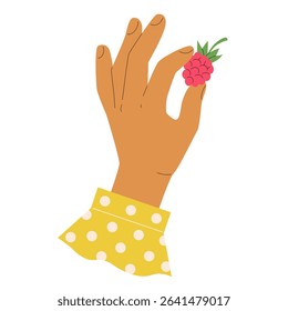 Female hand with polka dot shirt cuff holding ripe red raspberry with leaves. Cute vector illustration for label design of berry jam jars, pie recipes, harvest, gardening on white background.