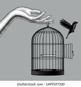 Female hand releases bird from cage  Vintage engraving stylized drawing  Vector illustration
