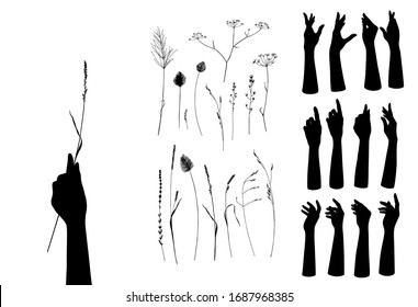 Female hand silhouettes of holding herbal set. Vector black and white creative illustration. Isolated elegance design flower floral and human elements collection 