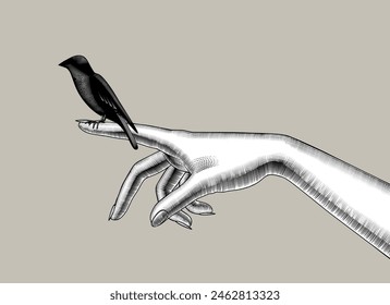 Female hand with sitting  a bird. Nature conservation theme. Vintage engraving of stylized design. Vector illustration