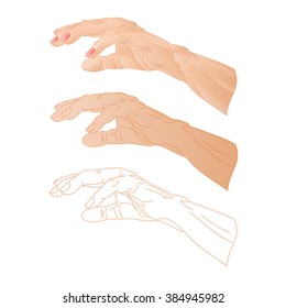 Female hand  three color drawing and outline vector illustration