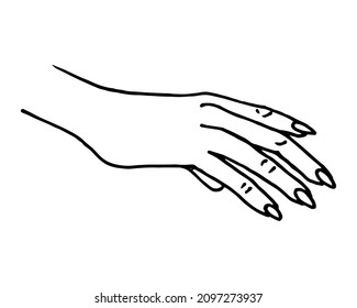 Female hand top right dorsum covering something sketch. Doodle line art vector isolated eps illustration