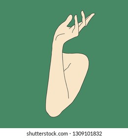 female hand in vector image
