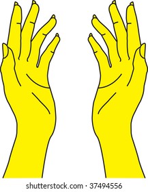 Female hands
