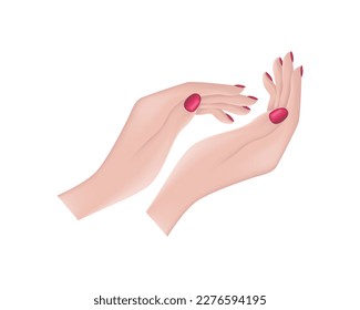 Female hands. Applauding female hands. Applause. Women s hands with a beautiful manicure. Vector illustration