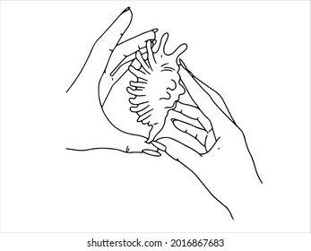 Female hands with in different poses. Line drawing. Vector illustration isolated on white background.