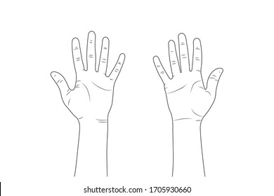 Human Palm Images, Stock Photos & Vectors | Shutterstock