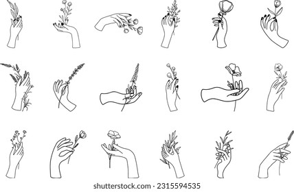 Manos femeninas con flores en un estilo lineal minimalista; ilustración vectorial con gestos de mano sosteniendo lavanda, flores silvestres y ramas