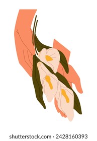 Female hands with flowers. Woman holds bouquet of calla, posy of arum lily. Romantic nature gift. Beautiful blossom ornamental or garden plants. Flat isolated vector illustration on white background