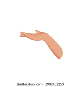 Female hands gesture hand sign vector illustration of hands in open gesture. Use for postcards, posters, banners, web designs, and t-shirt printing. Vector flat illustration of female hands.