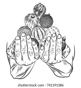 Female hands holding Christmas holidays glass balls toys on a white background. Front view, preparation for the holiday. Human open hands giving tree decorations. Giving woman hands gesture. Vector.
