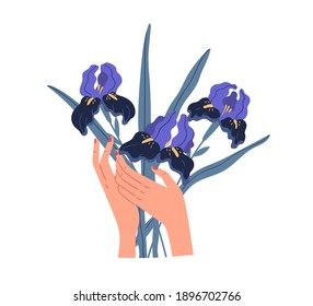 Female hands holding elegant bouquet of gorgeous violet irises isolated on white background. Beautiful bunch of cut spring flowers. Colorful flat vector illustration