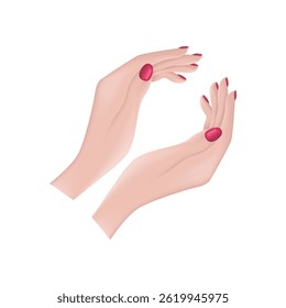 Female hands. An image of beautiful female hands. The hands of a woman with painted nails. The girl s hands. Vector illustration